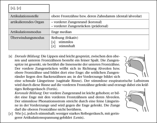 Phonetik des Deutschen 