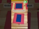 Metallene Einsatzfiguren "Montessori Premium"